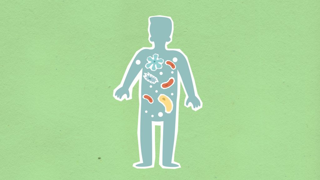 An illustration of a human silhouette adorned with larger-than-life microbes.
